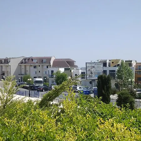 Vp In Vega Village *